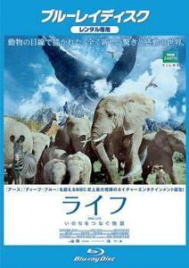 ライフ いのちをつなぐ物語 ブルーレイディスク レンタル落ち 中古 ブルーレイ