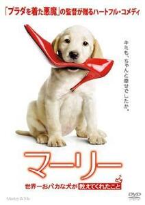 マーリー 世界一おバカな犬が教えてくれたこと レンタル落ち 中古 DVD