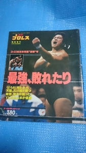 プロレス本 週刊プロレス 平成5年4月9日発行 No.544