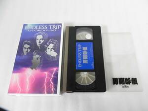 [W9880]VHS 男闘呼組 ENDLESS TRIP イメージビデオ プラカード付