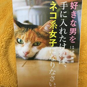 好きな男を手に入れたければ、ネコ系女子になりなさい。☆沖川東横☆沖昌之☆定価１３００円♪