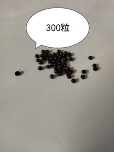 山椒の種300粒