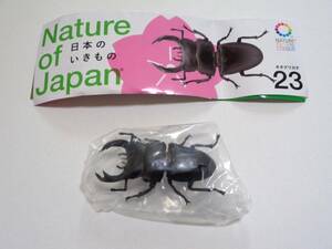 訳あり 日本のいきもの 03 23 オオクワガタ 爪折れ ネイチャーテクニカラー Nature of Japan ガチャ 未使用 キタンクラブ ミニフィギュア