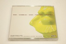 B16【即決・送料無料】BORIS ボリス Amplifier Worship CD_画像2