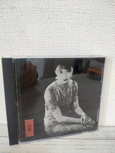 【帯付きCD】ジョン・ゾーン John Zorn New Traditions in East Asian Bar Bands フリージャズ アヴァンガード Tzadik フリス