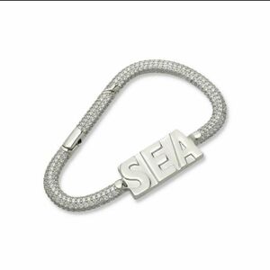 WIND AND SEA SEA RHINE STONE CARABINER / SILVER