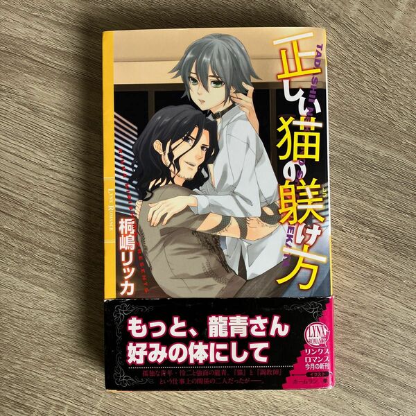 正しい猫の躾け方／桐嶋リッカ／BL小説【新書】