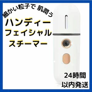 ハンディミスト スチーマー USB充電式 ポータブル 20ml フェイシャルミスト