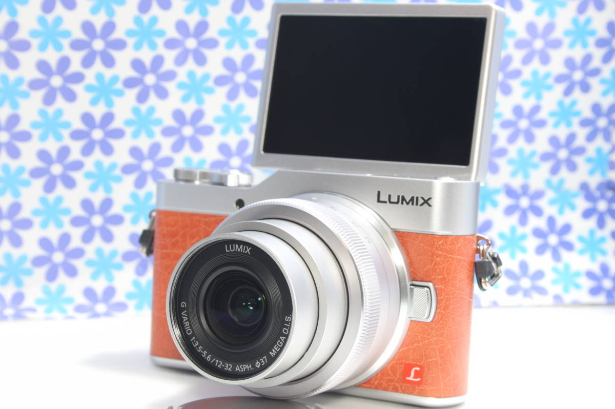 年最新ヤフオク!  LUMIX DC GF9の中古品・新品・未使用品一覧