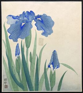 木版画 小原古邨 祥邨【菖蒲】ワタナベ版 昭和初期摺り 真作 ■ 浮世絵 新版画 渡辺木版 Ukiyoe