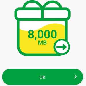 【迅速対応!!】約8GB 8000MB★mineo パケ ツト マイネオ 匿名安心迅速p12#