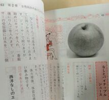 松田智恵子『おいしい生ジュースの作り方220種』新しい健康シリーズ ドリンク レシピ 1993年_画像7