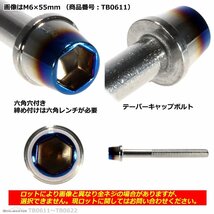 M6×110mm P1.0 テーパー キャップボルト ステンレス 車/バイク/自転車 ドレスアップ パーツ シルバー＆焼きチタンカラー 1個 TB0622_画像2