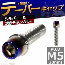 M5×20mm P0.8 テーパー キャップボルト ステンレス 車/バイク/自転車 ドレスアップ パーツ シルバー＆焼きチタンカラー 1個 TB0597_画像1