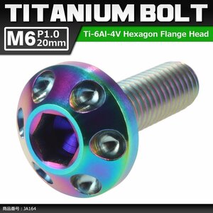 M6×20mm P1.0 頭部径14mm 64チタン合金 六角穴 ホールヘッド ボタンボルト 焼きチタンカラー 虹色 1個 JA164