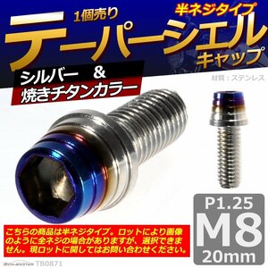 M8×20mm P1.25 テーパーシェル キャップボルト ステンレス 車/バイク/自転車 ドレスアップ パーツ シルバー＆焼きチタンカラー 1個 TB0871