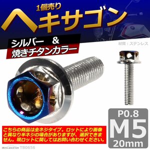 M5×20mm P0.8 ヘキサゴン 六角ボルト ステンレス 車/バイク/自転車 ドレスアップ パーツ シルバー＆焼きチタンカラー 1個 TB0656