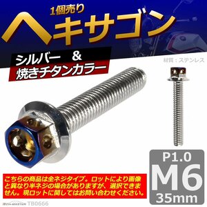 M6×35mm P1.0 ヘキサゴン 六角ボルト ステンレス 車/バイク/自転車 ドレスアップ パーツ シルバー＆焼きチタンカラー 1個 TB0666