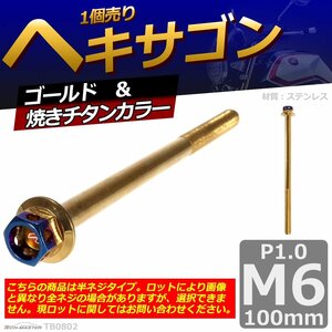 M6×100mm P1.0 ヘキサゴン 六角ボルト ステンレス 車/バイク/自転車 ドレスアップ パーツ ゴールド＆焼きチタンカラー 1個 TB0802