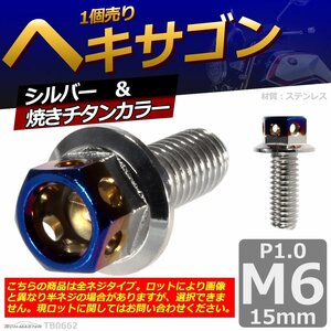 M6×15mm P1.0 ヘキサゴン 六角ボルト ステンレス 車/バイク/自転車 ドレスアップ パーツ シルバー＆焼きチタンカラー 1個 TB0662