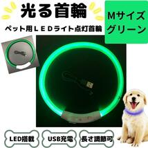 光る首輪 犬用 LED搭載 USB充電 グリーン Mサイズ 緑 夜 散歩 犬 USB usb 充電 軽量 軽い 散歩 夜 キラキラ 安全 おしゃれ カラフル_画像1