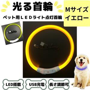 光る首輪 犬用 LED搭載 USB充電 イエロー Mサイズ 黄色 夜 散歩 犬 USB usb 充電 軽量 軽い 散歩 夜 キラキラ 安全 おしゃれ カラフル