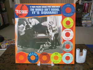 The World Ain't Round, It's Square! 60'sガレージパンク・オムニバス Teenage Shutdown!シリーズ ザ・サベイジズのタイトル曲ほか全17曲!