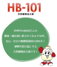 hb101 活力剤 植物 フローラ 天然植物活力液 HB-101 1L_画像2
