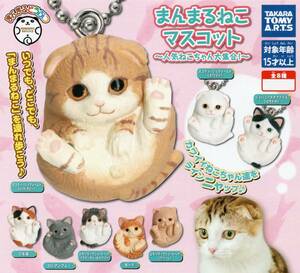 △-□　(即決]　ガチャ　まんまるどうぶつ　まんまるねこ　マスコット　~人気ねこちゃん大集合!~　( 全８種セット )