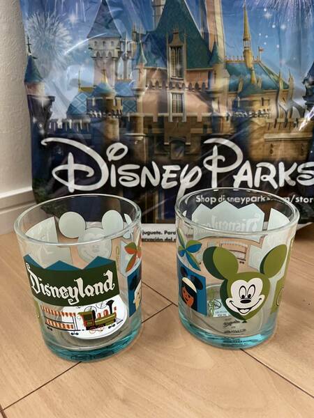 CALFORNIA DISNEYLAND★ Shag glass mug★カルフォルニア　ディズニーランド　グラスマグ★1つ