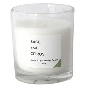 * sage & citrus * turtle yama aroma candle .. candle L size turtle yama candle aroma candle turtle yama