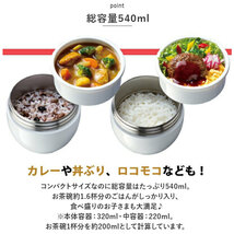 ☆ くすみグリーン ☆ 超軽量 保温丼ランチジャー LDNC6AG スケーター 弁当箱 LDNC6AG SKATER ランチボックス 540ml 保温 保冷_画像7