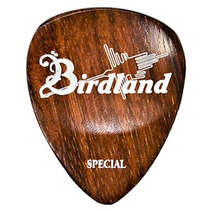 Birdland Rose Special Pick guitar pick 