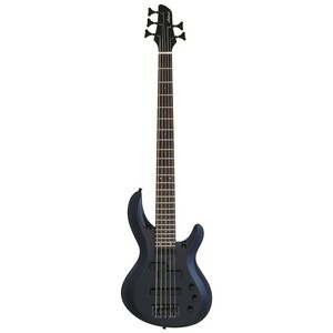 AriaProII Aria Pro 2 IGB-STD/5B MBK 5 string electric bass 