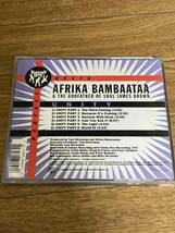 アフリカ・バンバータ&ジェームス・ブラウン 　ユニティ 　AFRIKA BAMBAATAA & JAMES BROWN 　 UNITY　輸入盤_画像3