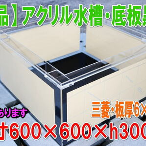 アクリル水槽 幅600×奥行600×高300mm・底板黒艶消し・三菱ケミカル アクリライトEX・板厚6mm×底5mm・★新品・国内製造・170の画像1