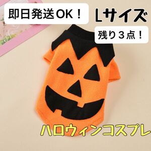 犬 ドッグウェア ハロウィン 仮装 コスプレ 愛犬 かぼちゃ L