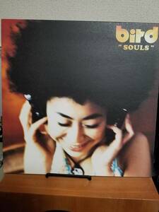 【中古LP】12インチ bird / SOULS バード / ソウルズ