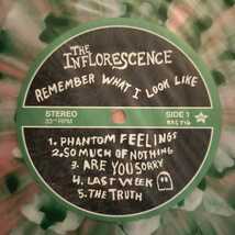 美品 LP The Inflorescence Remember What I Look Like KILL ROCK STARS_画像3