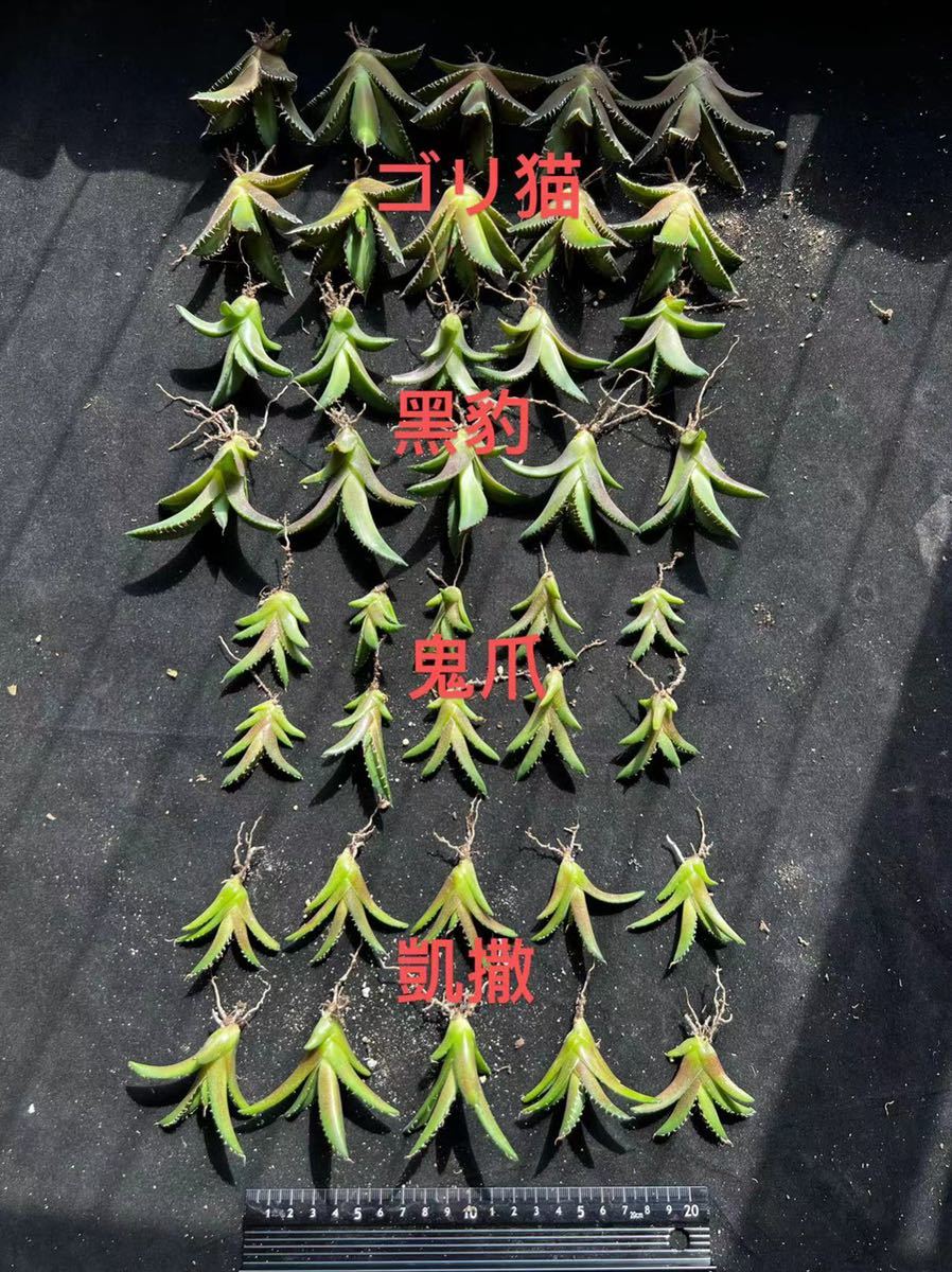 ヤフオク!