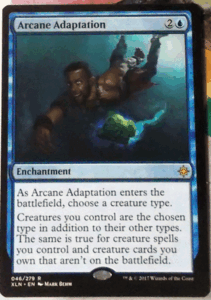 ＭTG/英語/Arcane Adaptation(秘儀での順応)/イクサラン/レア