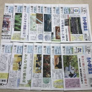 即決 毎日小学生新聞 2023年10/1～10/31まで1か月分 哲学・鉄道・Z会・昆虫・科学・英語