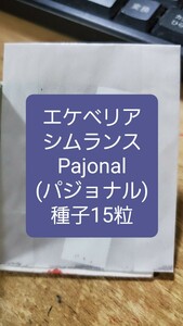 エケベリア　シムランス, Pajonal 種子15粒