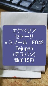 エケベリア　セトーサ v.ミノール FO42, Tejupan テユパン　種子15粒