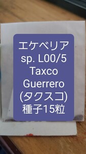 エケベリア　sp. L00/5, Taxco, Guerrero 種子15粒