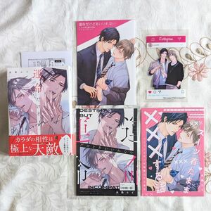 運命だけどあいいれない 新品 4社 5特典 小冊子 シュリンク付 BL アニメイト とらのあな コミコミ ホーリンラブブックス