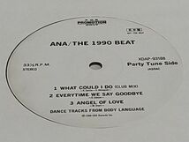 Ana - The 1990 Beat (What Could I Do Club Mix収録)_画像4