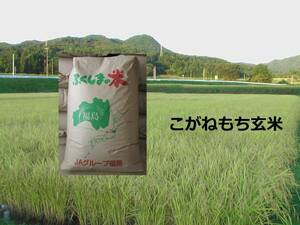 令和5年福島産こがねもち玄米３０ｋｇ