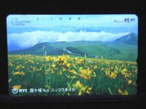 テレカ 50度 霧ヶ峰 ニッコウキスゲ さわやか信州 未使用 S-0018