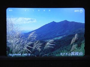 テレカ 50度 すすきと筑波山 未使用 S-0228